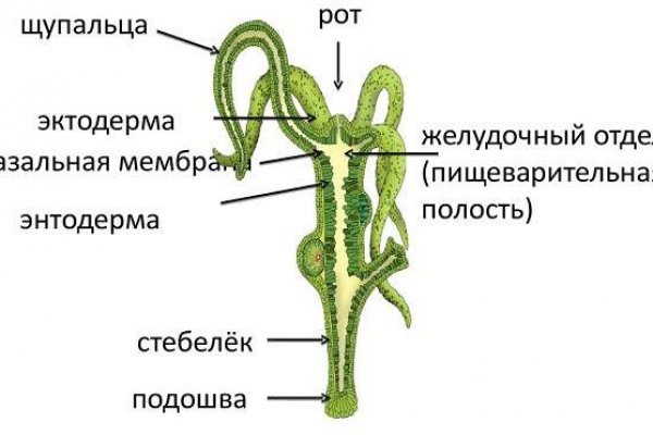 Kraken ссылка актуальная