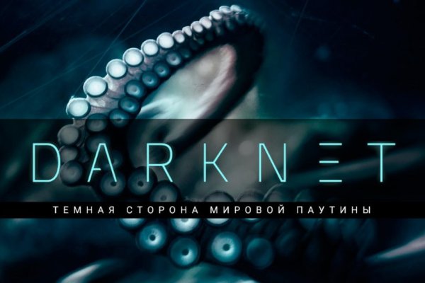 Kraken рабочий