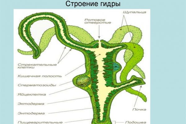 Кракен ссылка на сайт com