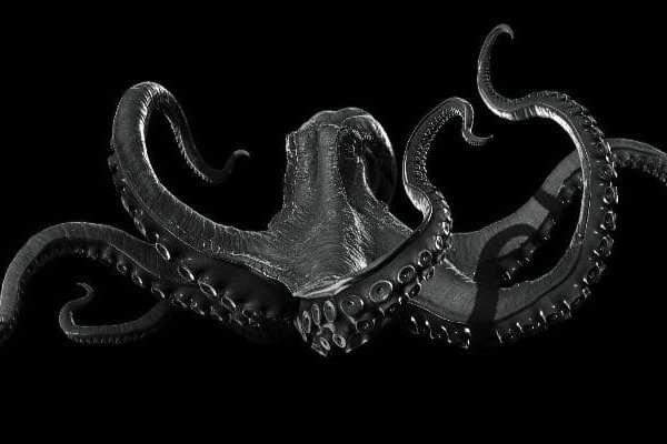 Kraken kraken link24 info